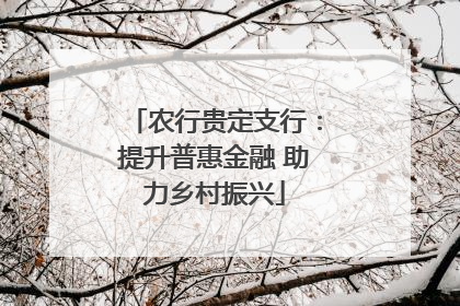 农行贵定支行：提升普惠金融 助力乡村振兴